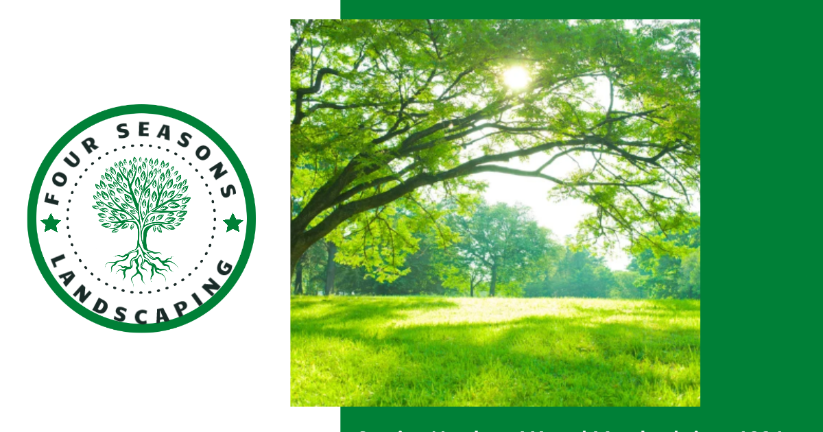 4 Seasons Landscapes